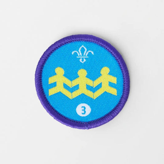 Community Impact Stage 3 Activity Badge