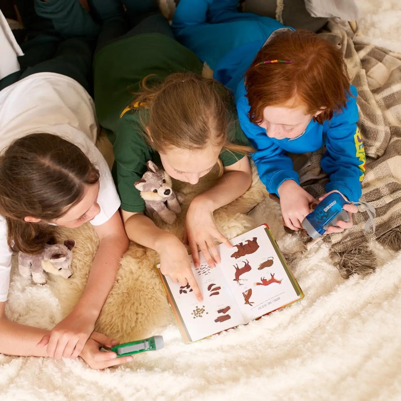 Beavers LED Dynamo / Wind Up Torch