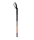 Kesugi Walking Pole