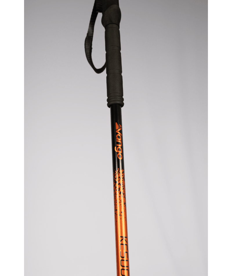Kesugi Walking Pole