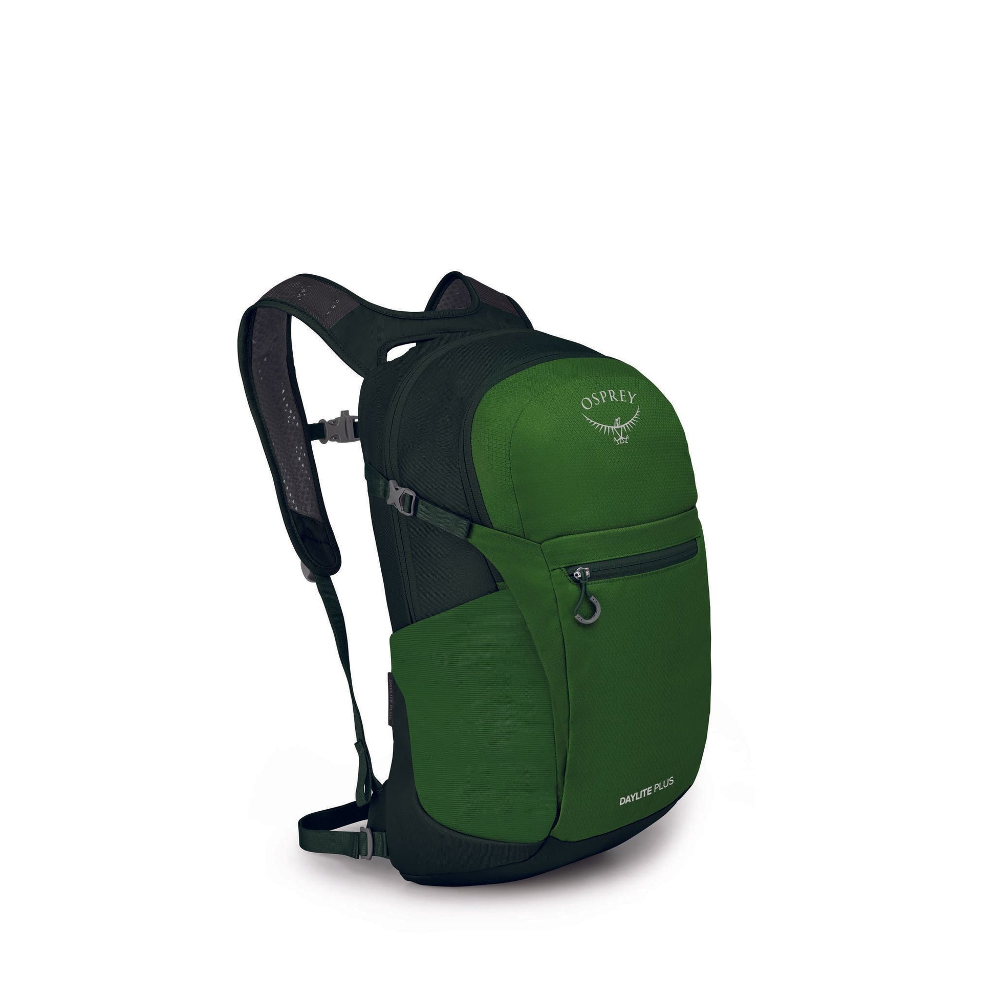 Osprey Daylite Plus Green Belt/Green Canopy