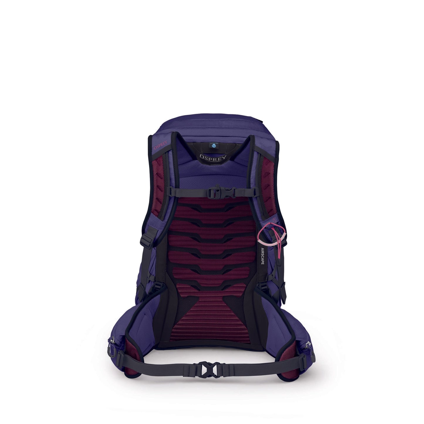 Osprey Tempest Women's 26L Deep Fig Hotspot Pink