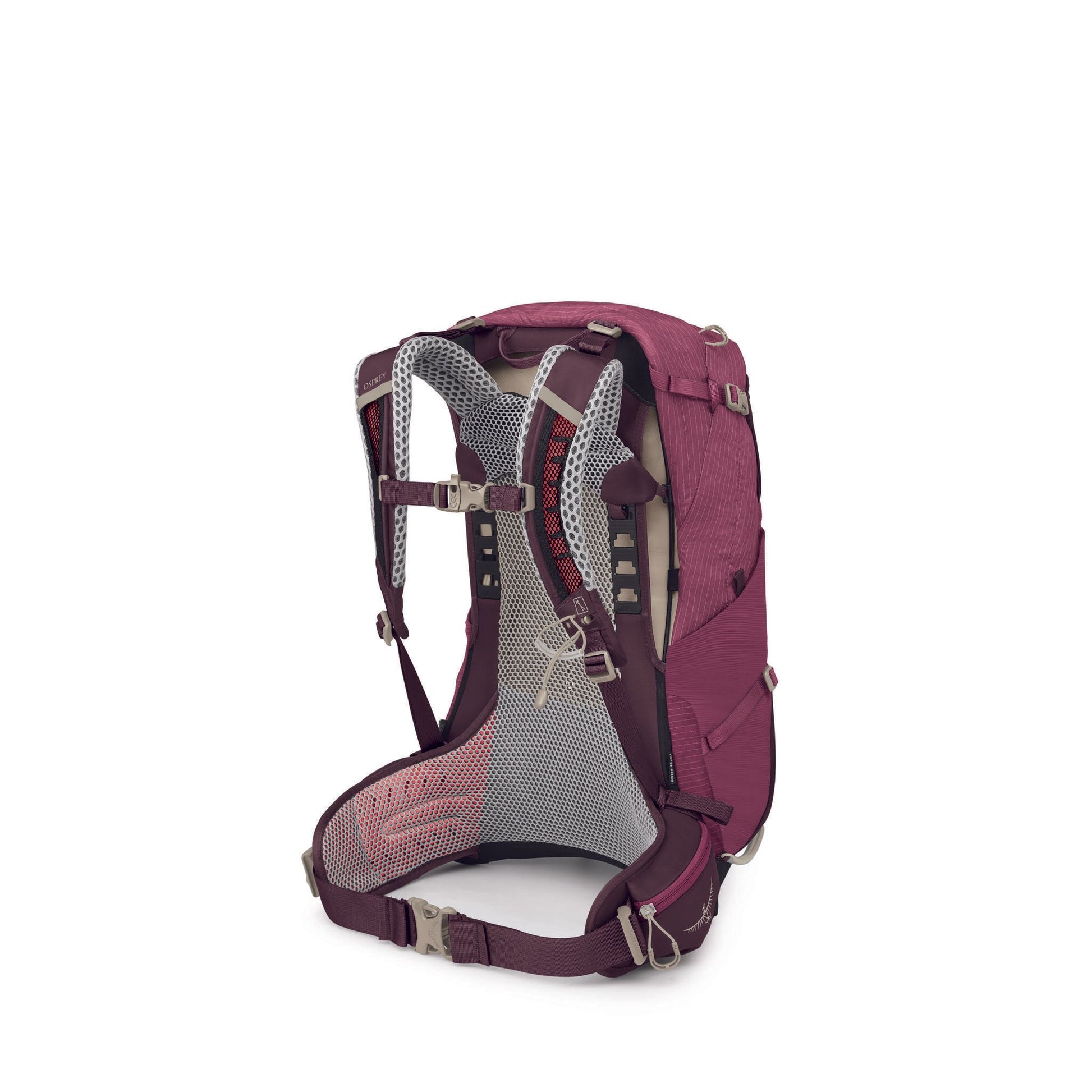 Osprey Sirrus Women's 24L Elderberry Purple-Chiru Tan