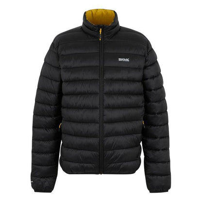 Men's Marizion Padded Jacket